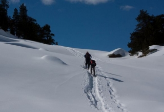 rutas de raquetas de nieve
